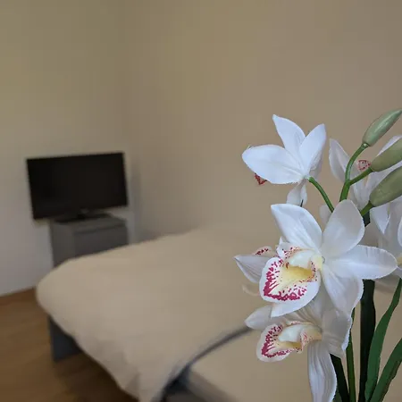 度假居 Gartenoase