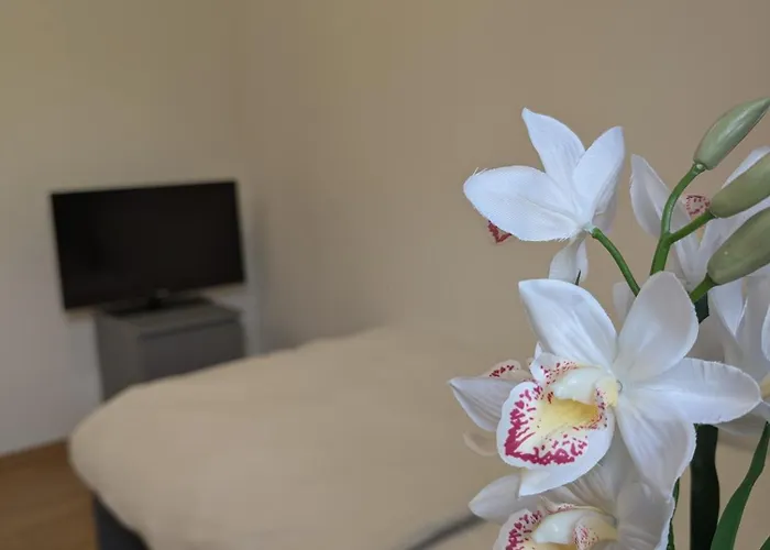 Ferienhaus Gartenoase